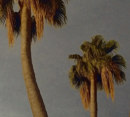 Demo Reel